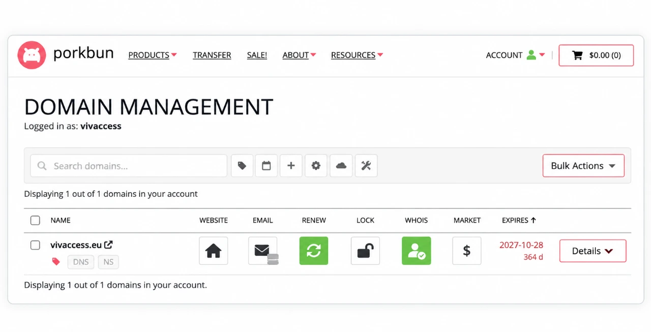 Porkbun Domain Management dashboard showing the registered vivaccess.eu domain, renewal settings, and domain management options.
