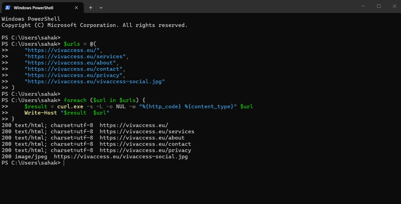 PowerShell verification showing HTTP 200 responses for five Vivaccess website pages and the social preview image.
